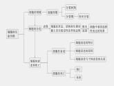 高中生物新教材同步必修第一册课件+讲义 第6章　本章知识网络