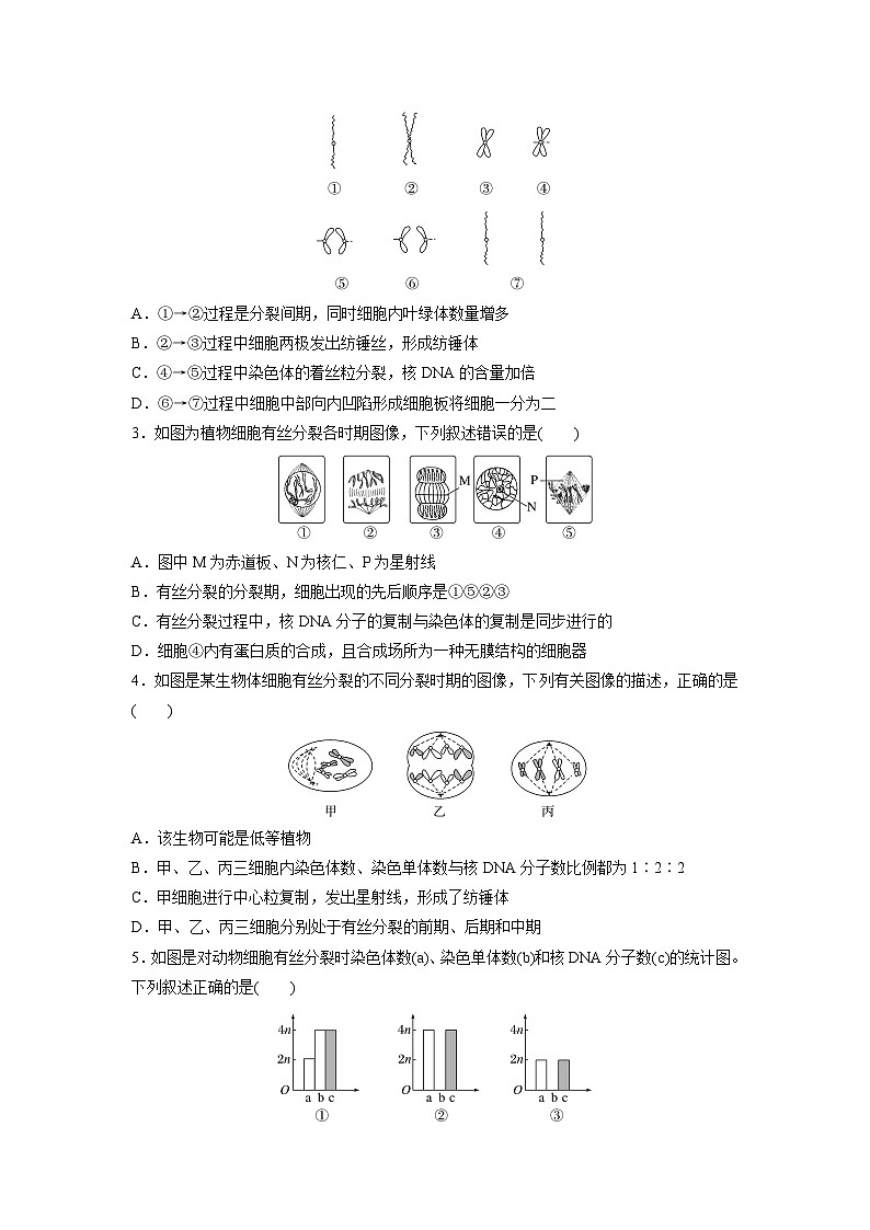 高中生物新教材同步必修第一册课件+讲义 第6章　重点突破练(五)02