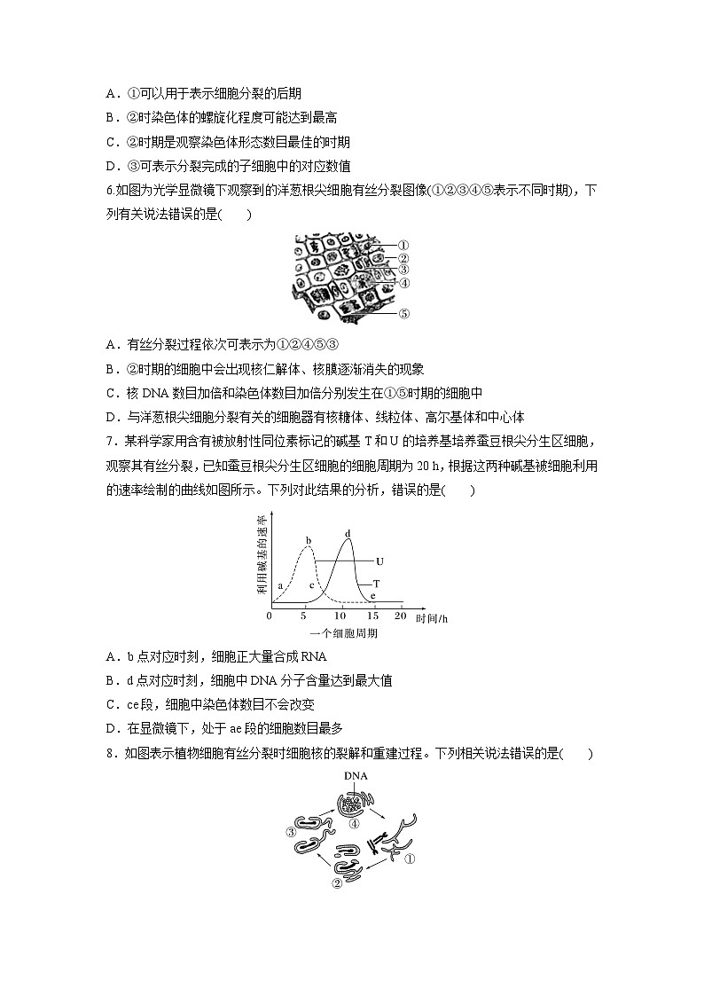 高中生物新教材同步必修第一册课件+讲义 第6章　重点突破练(五)03