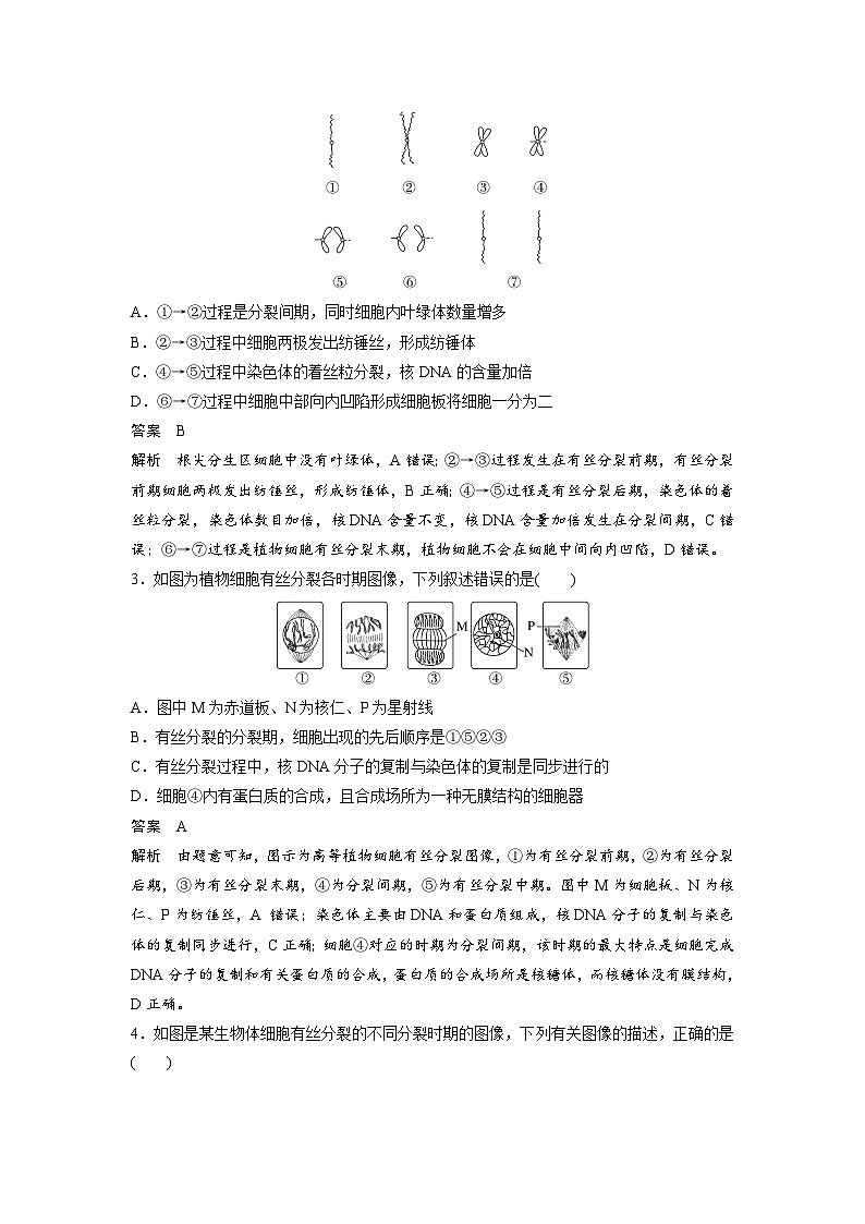 高中生物新教材同步必修第一册课件+讲义 第6章　重点突破练(五)02
