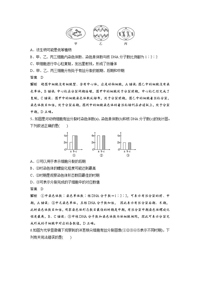 高中生物新教材同步必修第一册课件+讲义 第6章　重点突破练(五)03