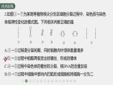 高中生物新教材同步必修第一册课件+讲义 第6章　重点突破练(五)