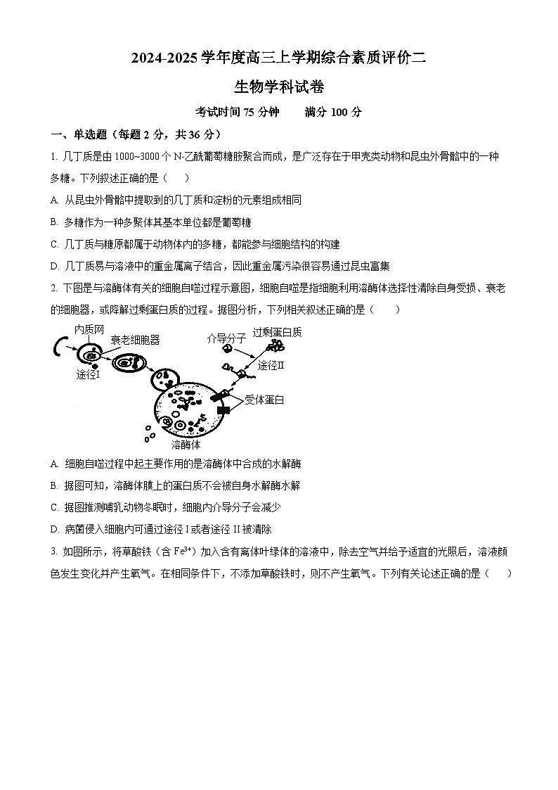 河北省衡水中学2024-2025学年高三上学期综合素质评价二生物试题（Word版附答案）第1页