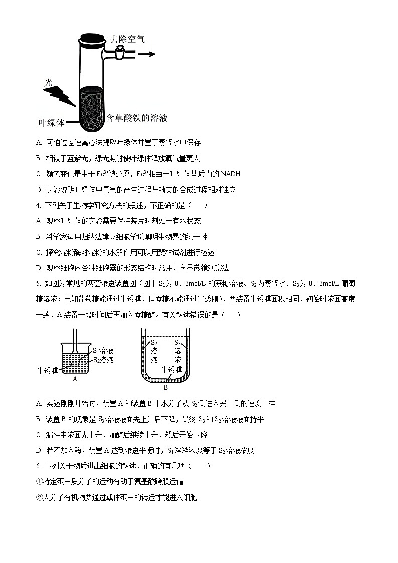 河北省衡水中学2024-2025学年高三上学期综合素质评价二生物试题（Word版附答案）第2页
