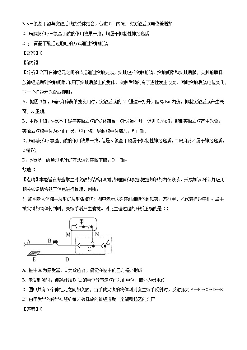 山东省泰安市新泰第一中学老校区（新泰中学）2024-2025学年高二上学期第一次月考生物试题（解析版）第2页