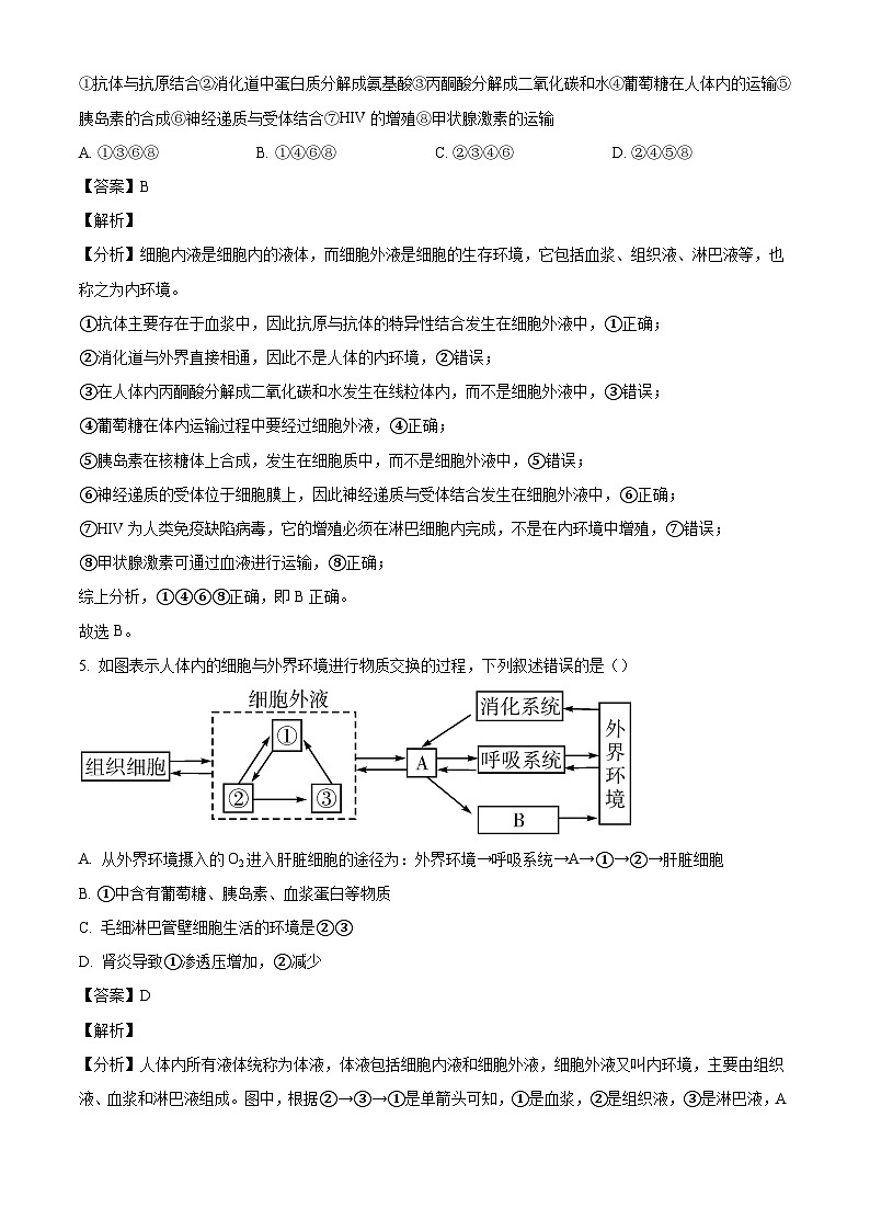 辽宁省抚顺市第一中学2024-2025学年高二上学期10月月考生物试题（解析版）第3页