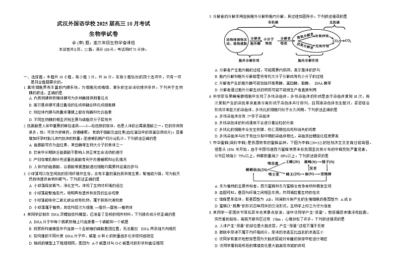 湖北省武汉外国语学校2024-2025学年高三上学期10月考试生物试题（Word版附答案）第1页