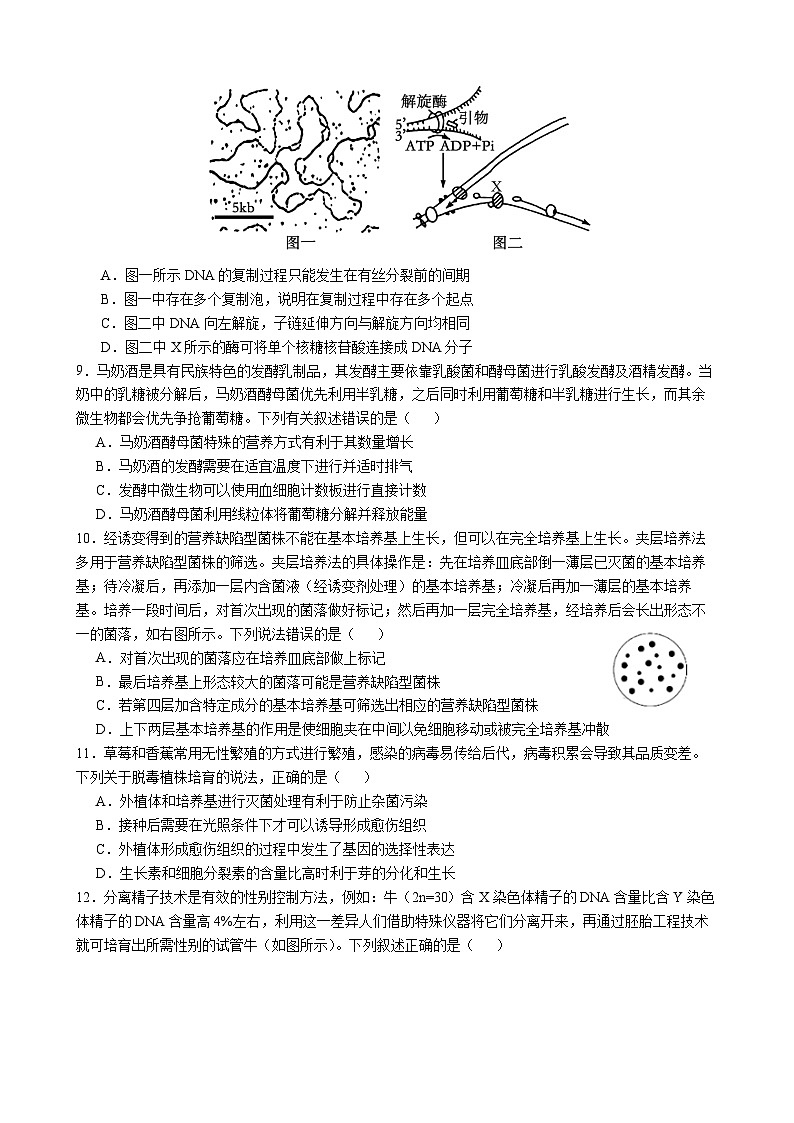 四川省成都市石室中学2024-2025学年高三上学期10月月考生物试题（Word版附解析）第3页