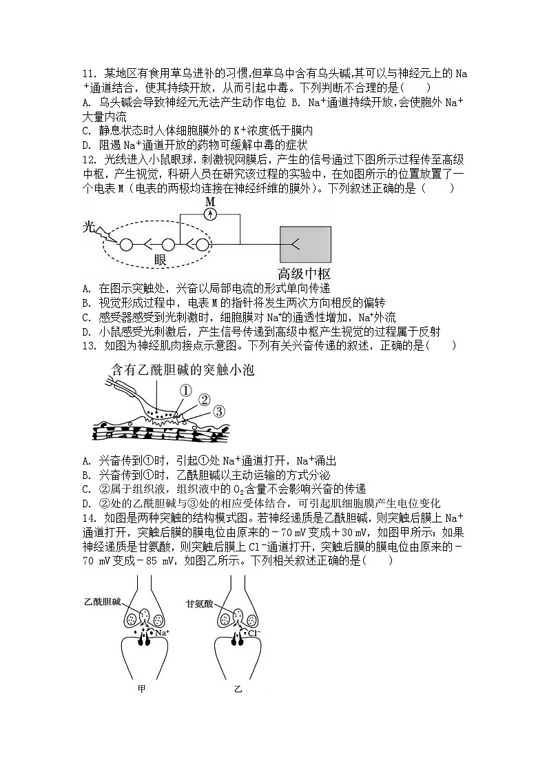 广东省湛江市第二十一中学2024-2025学年高二上学期10月月考生物试题第3页