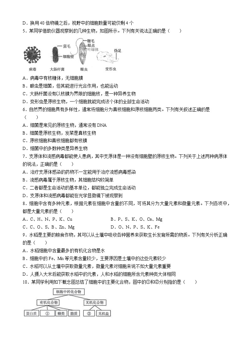江西省多校联考2024-2025学年高一上学期10月月考生物试题02