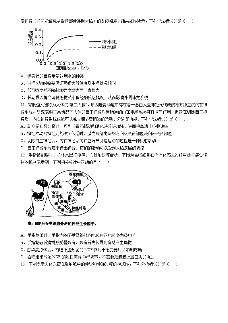 福建省泉州市安溪一中2024-2025学年高二上学期第一次月考生物题(无答案)第3页