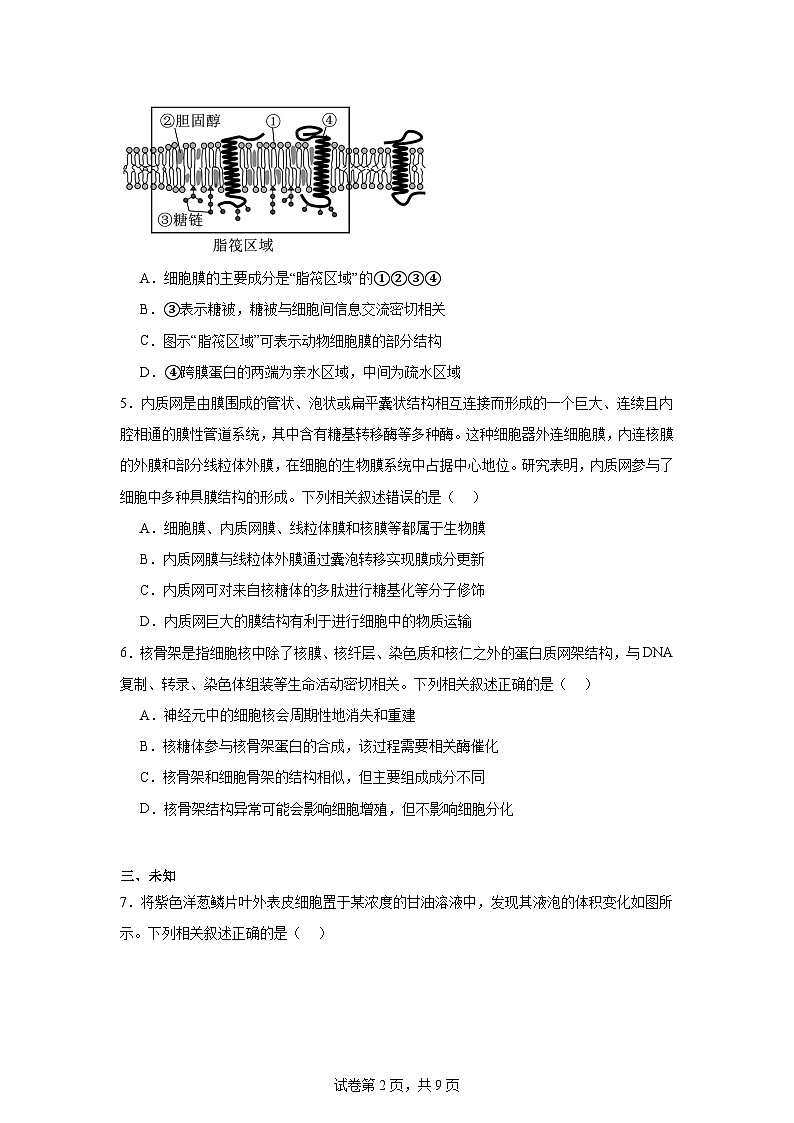 皖豫名校联盟2024-2025学年高三上学期10月联考生物试题第2页