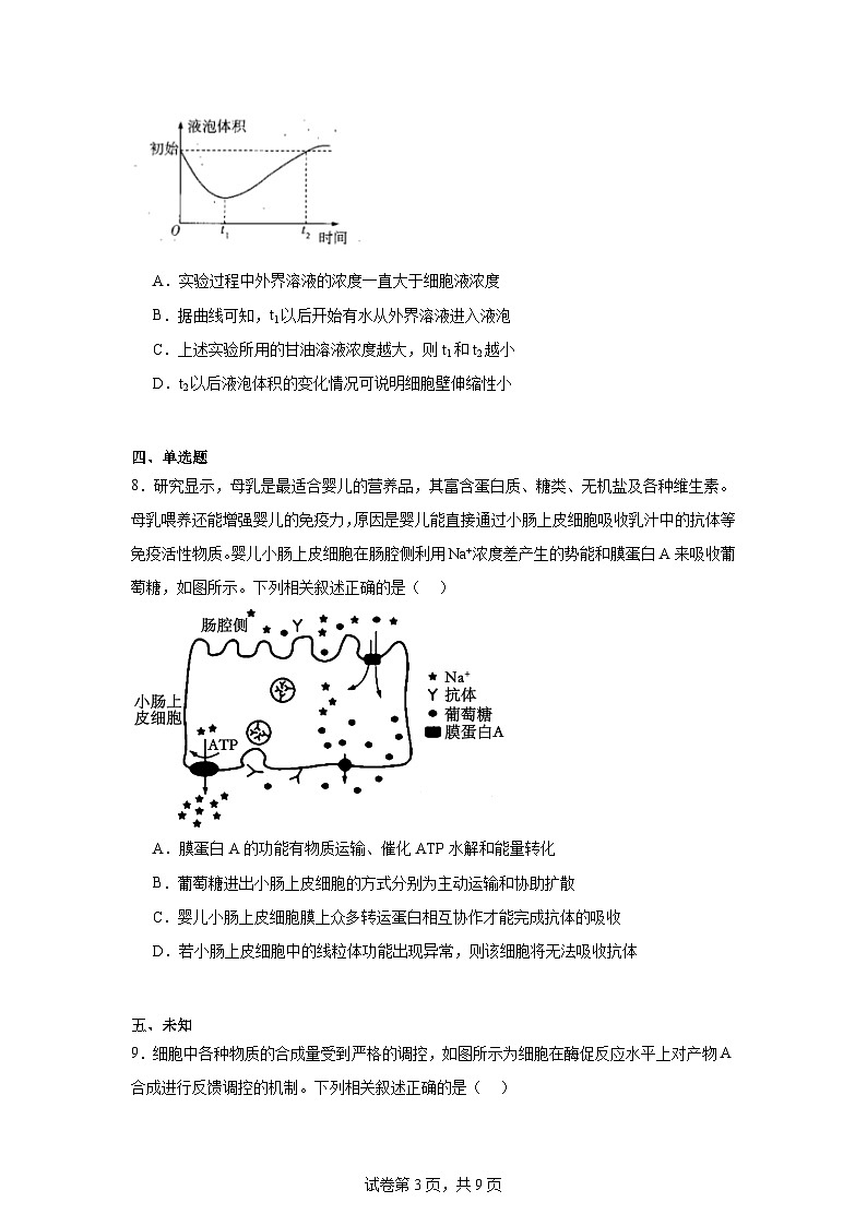 皖豫名校联盟2024-2025学年高三上学期10月联考生物试题第3页