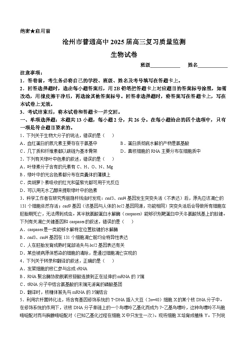 河北省沧州市沧州高三质量检测2024-2025学年高三上学期10月月考生物试题第1页