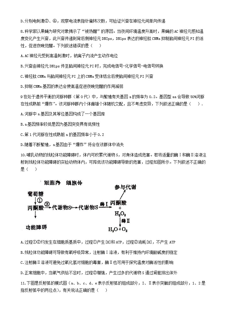 江西省乐平市第三中学2024-2025学年高二上学期10月月考生物试题(无答案)第3页