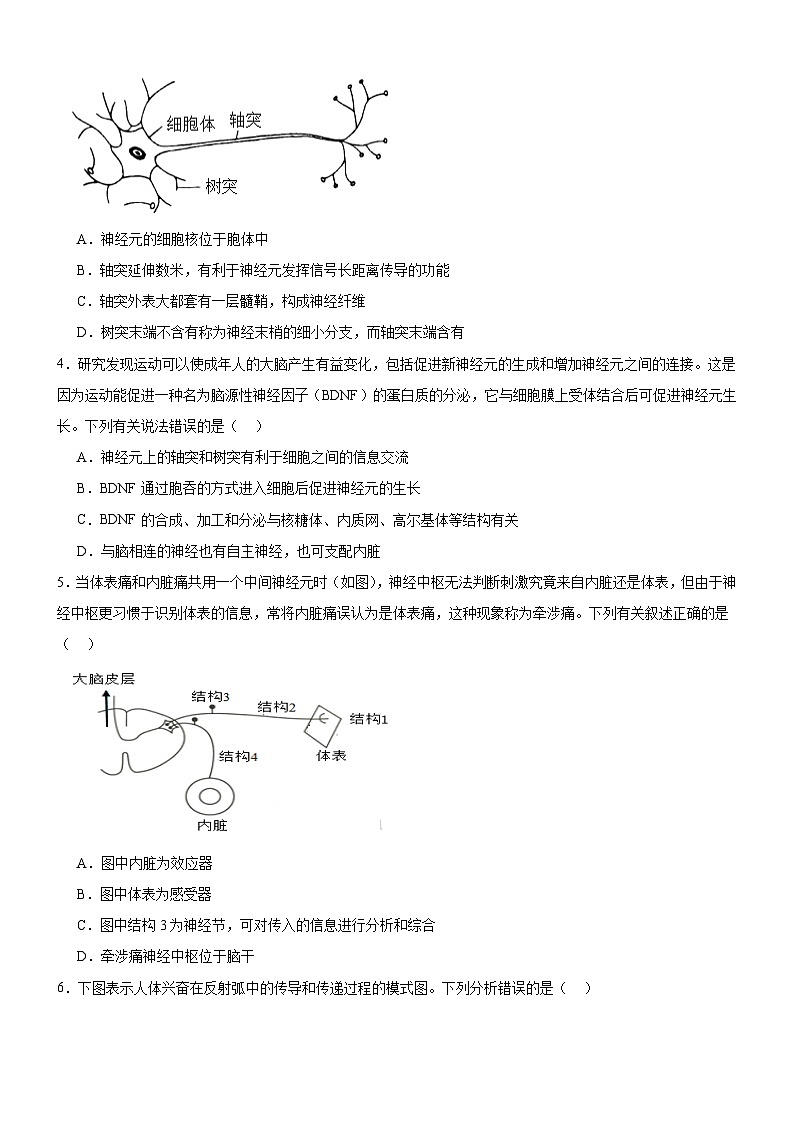河南省驻马店市新蔡县新蔡县第一高级中学2024-2025学年高二上学期10月月考生物试题02