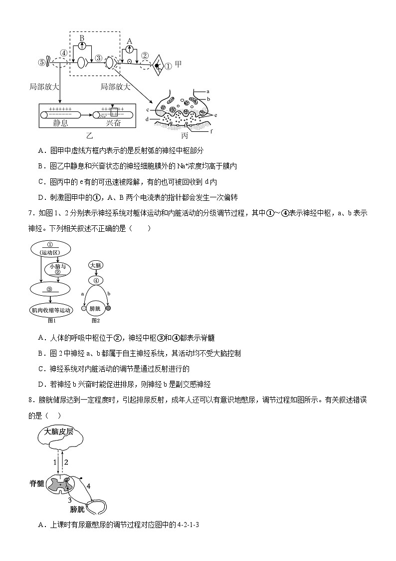 河南省驻马店市新蔡县新蔡县第一高级中学2024-2025学年高二上学期10月月考生物试题03