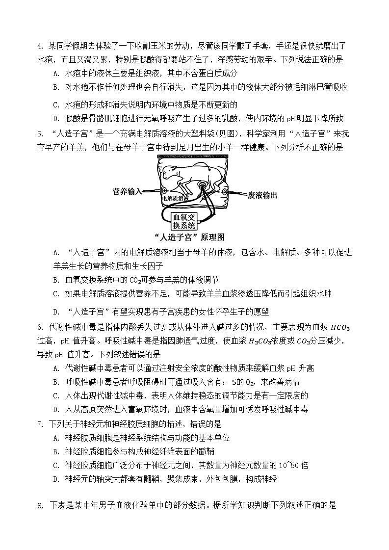 黑龙江省哈尔滨市第九中学2024~2025学年高二上学期10月月考生物试卷02
