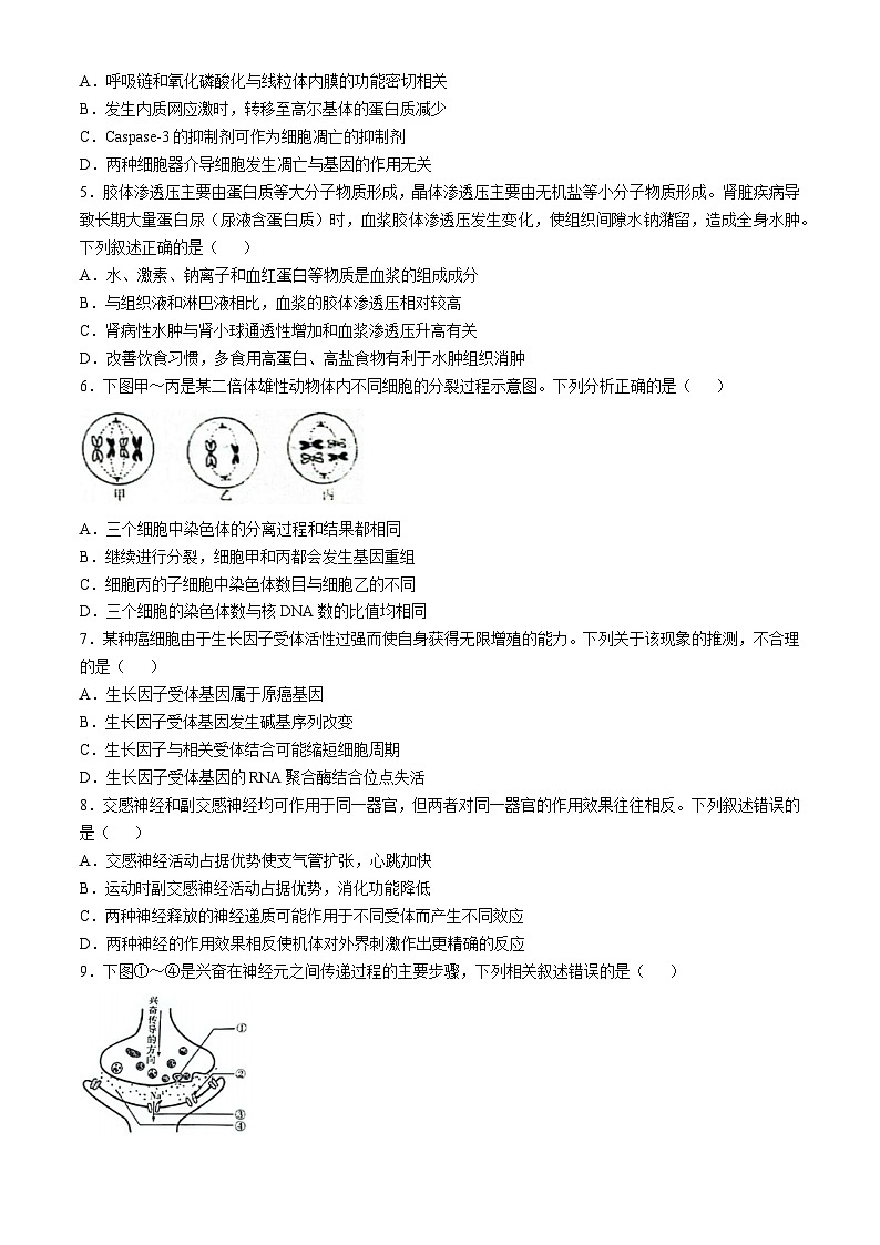 湖南省多校联考2024-2025学年高二上学期10月月考生物试题第2页