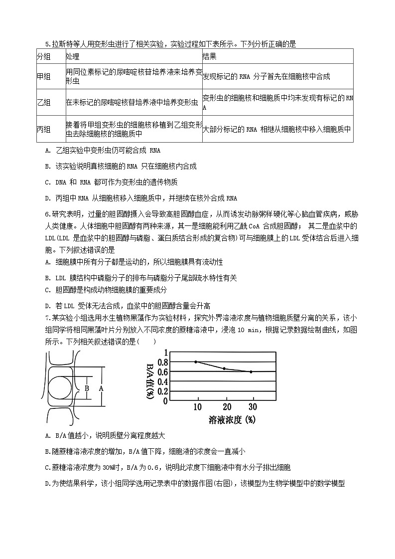 2025届湖北省重点高中智学联盟高三10月联考生物试卷第2页