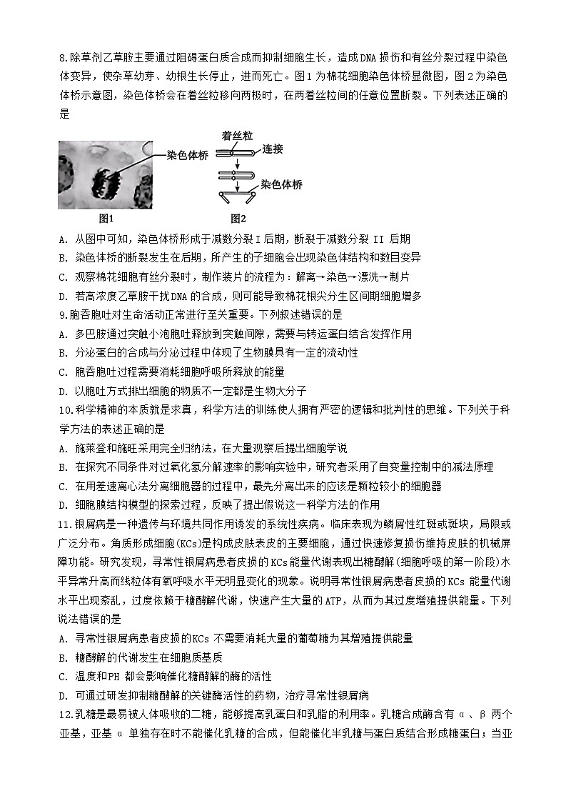 2025届湖北省重点高中智学联盟高三10月联考生物试卷第3页