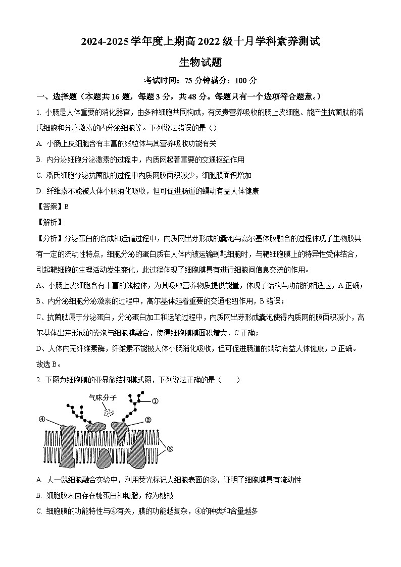 四川省成都市第七中学（高新校区）2024-2025学年高三上学期10月月考生物试题（解析版）第1页