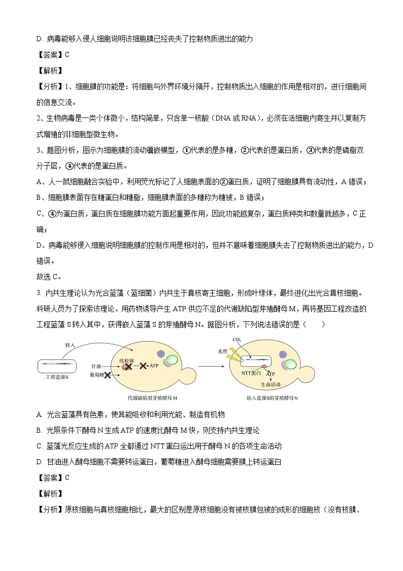四川省成都市第七中学（高新校区）2024-2025学年高三上学期10月月考生物试题（解析版）第2页