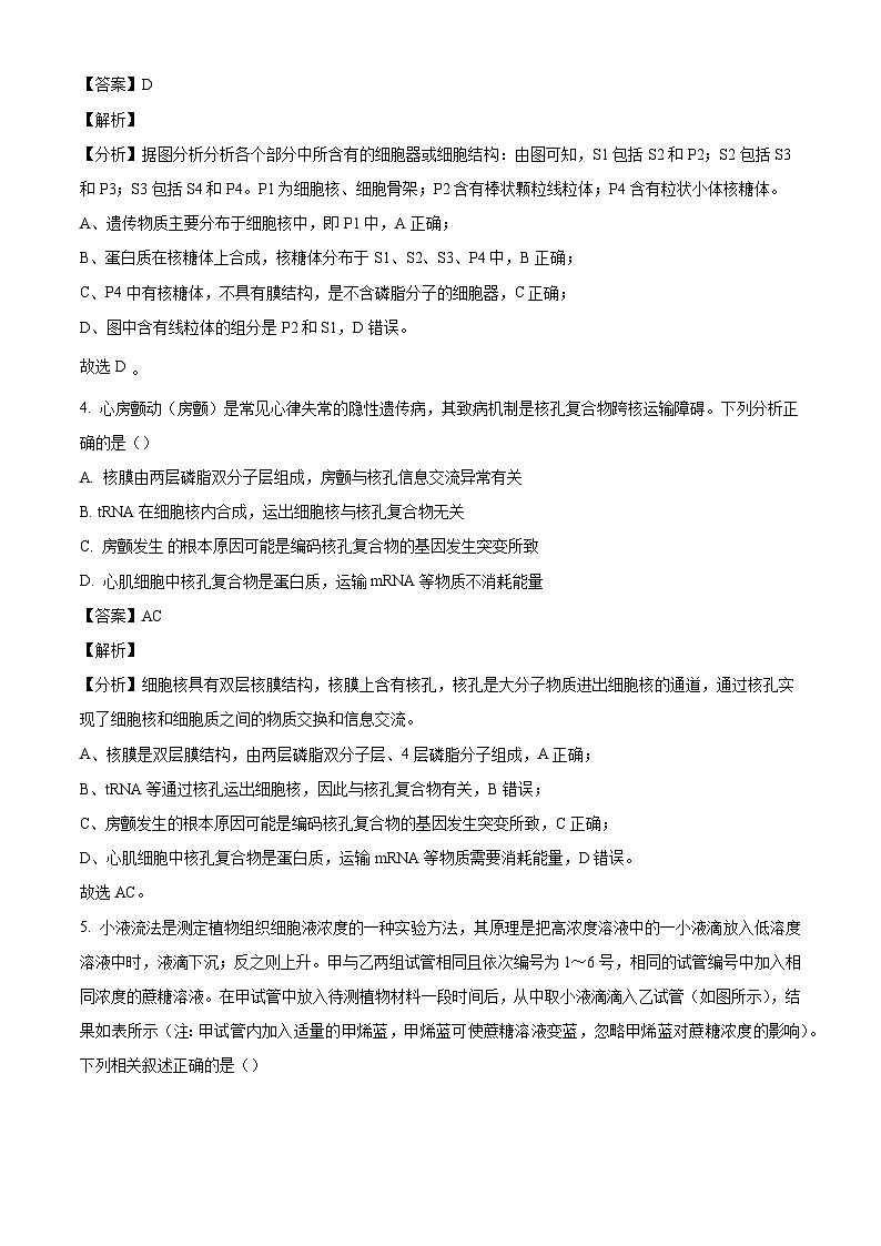 广东省广州市广雅中学2024—2025学年高三上学期10月考试生物试题（解析版）03