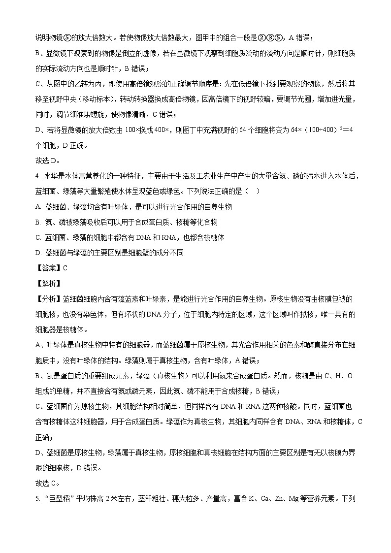 河北省保定市唐县河北省唐县第一中学2024-2025学年高一上学期10月月考生物试题（解析版）03