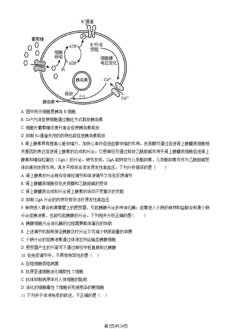 [生物]2023北京清华附中高二(上)期中试卷(教师版)第3页