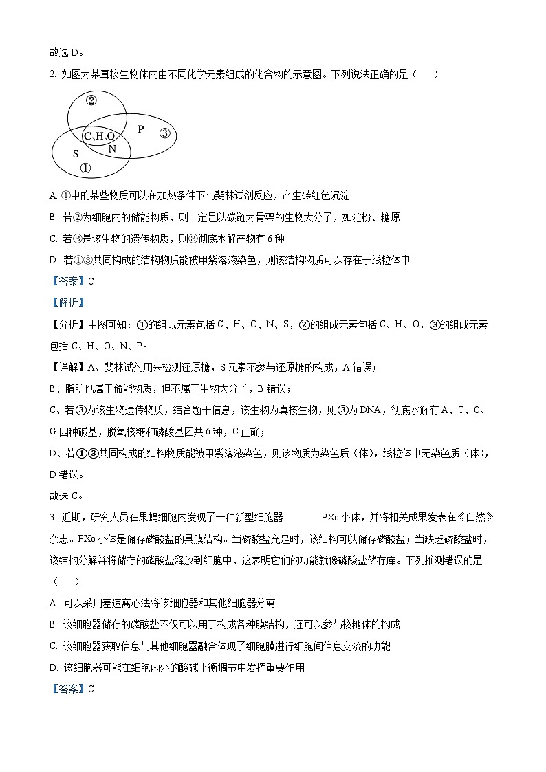 湖南省长沙市雅礼中学2025届高三上学期月考（二）生物试题 Word版（附解析版）02