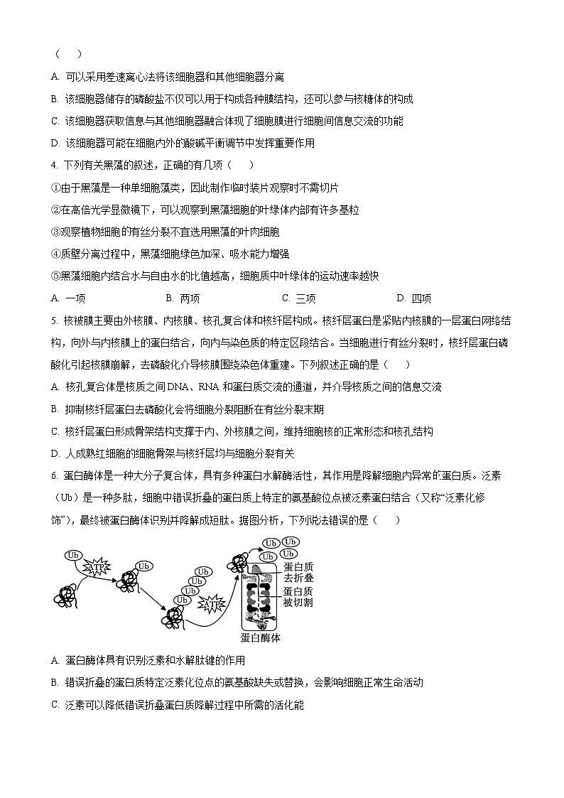 湖南省长沙市雅礼中学2025届高三上学期月考（二）生物试题 Word版（附解析版）02