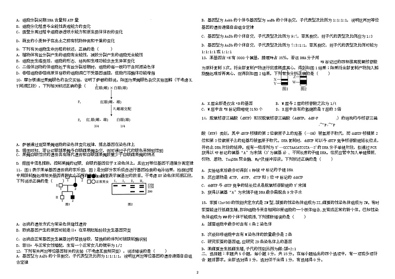 黑龙江省哈尔滨师范大学附属中学2024-2025学年高三上学期10月月考生物试题第2页