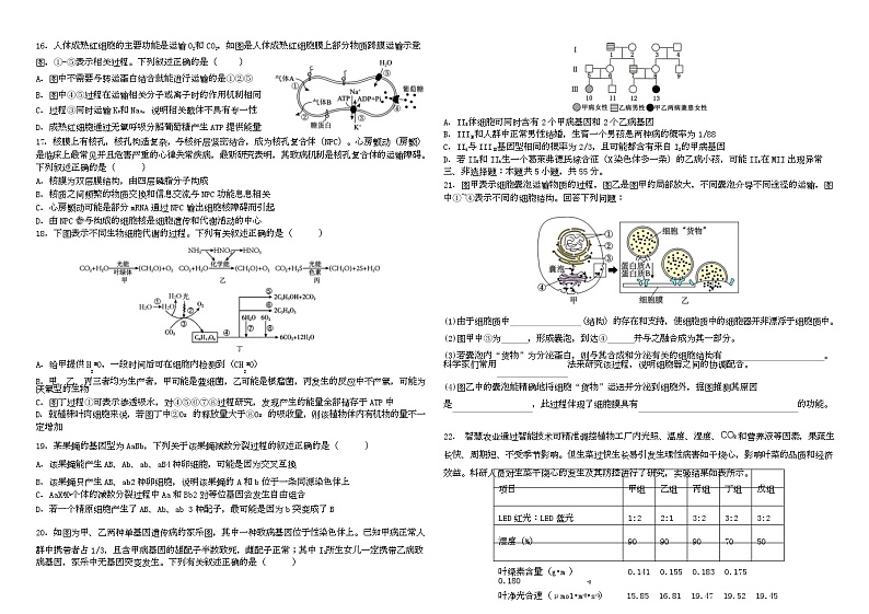 黑龙江省哈尔滨师范大学附属中学2024-2025学年高三上学期10月月考生物试题第3页