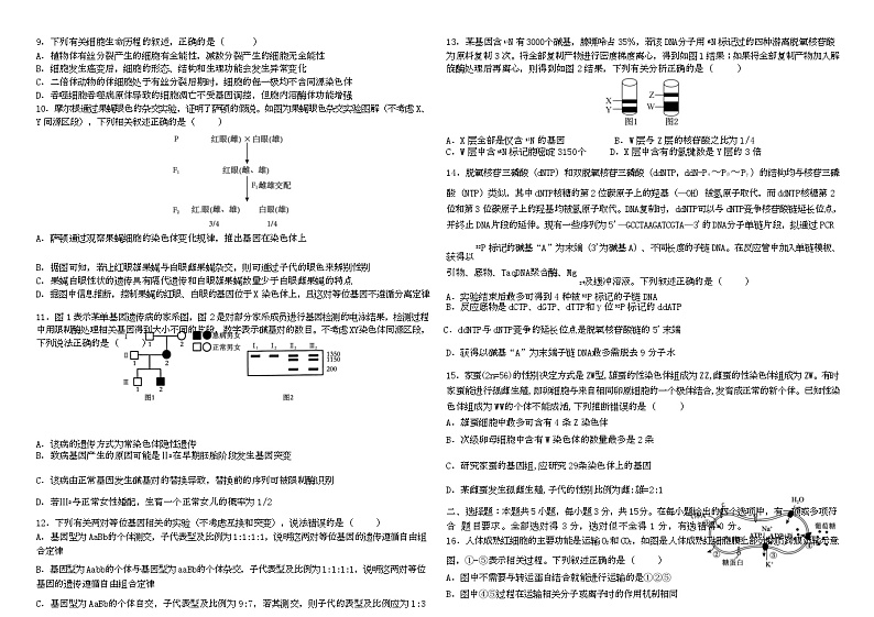 高三10月月考生物试题第3页