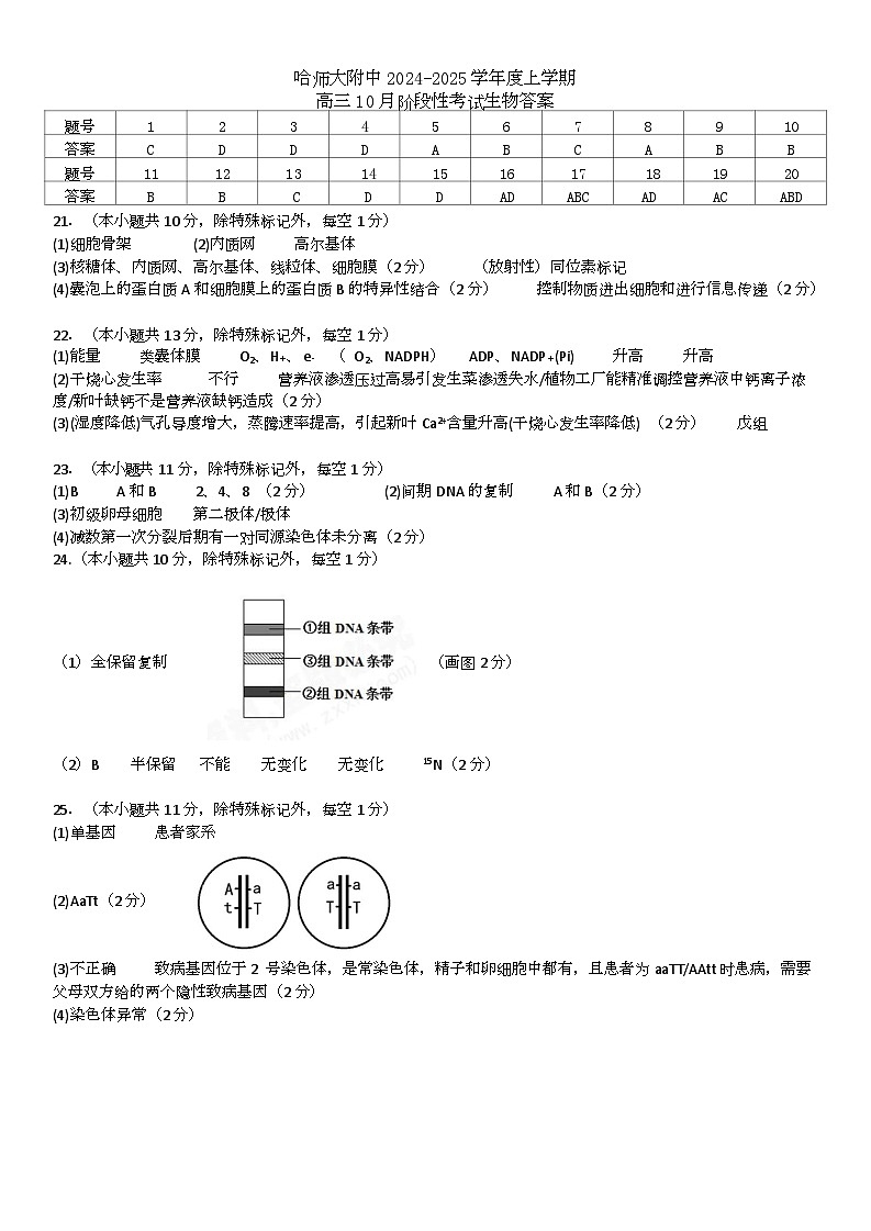 生物参考答案第1页