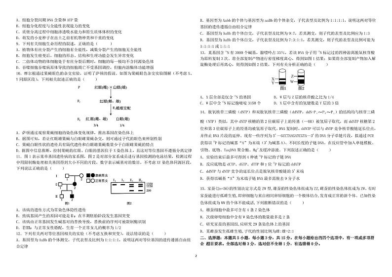 黑龙江省哈尔滨师范大学附属中学2024-2025学年高三上学期10月月考生物试题第2页
