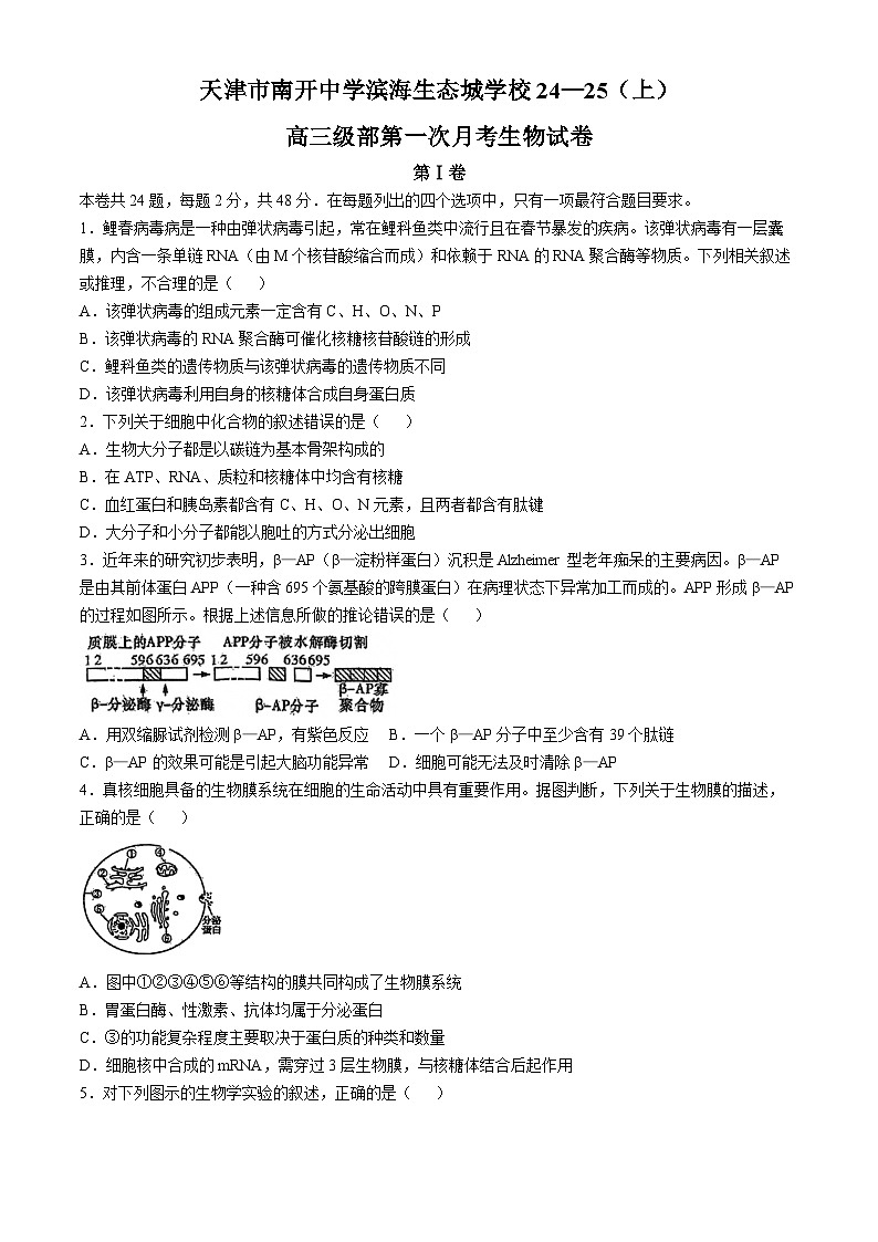 天津市天津市滨海新区天津市实验中学滨海学校2024-2025学年高三上学期10月月考生物试题第1页