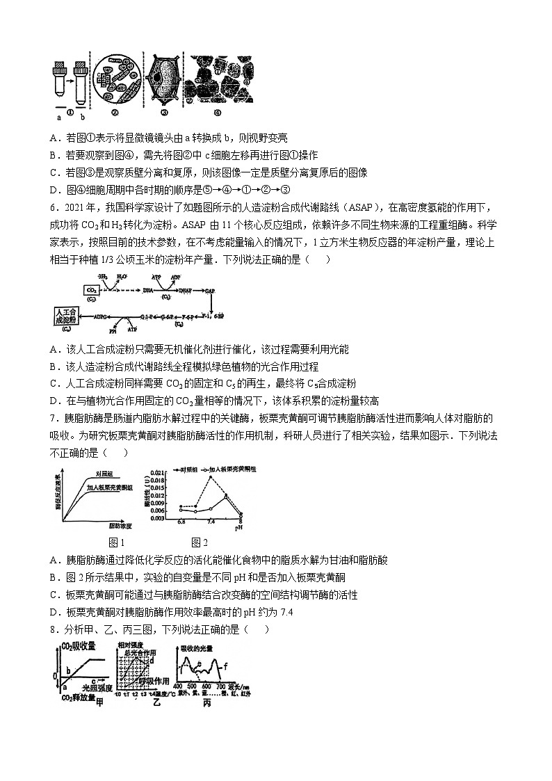 天津市天津市滨海新区天津市实验中学滨海学校2024-2025学年高三上学期10月月考生物试题第2页
