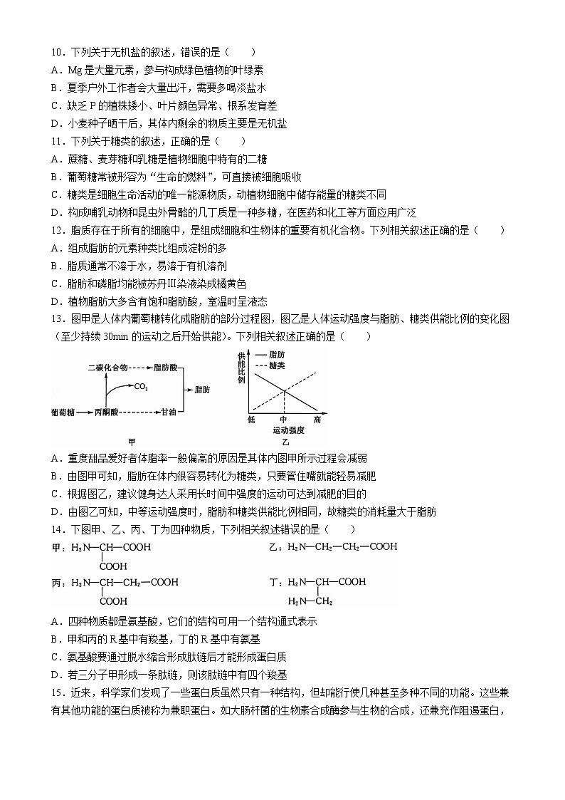 陕西省榆林市府谷县第一中学2024-2025学年高一上学期10月月考生物试题第3页