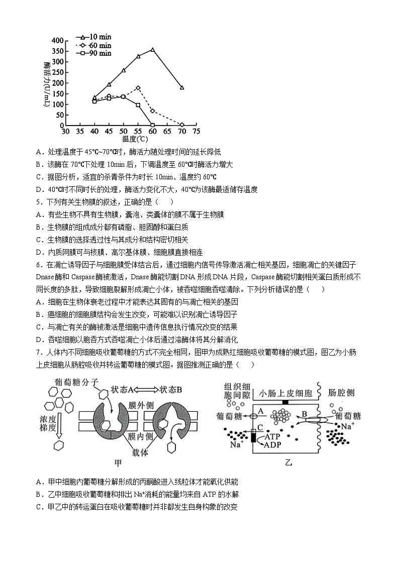 江苏省盐城市五校联考2024-2025学年高三上学期10月月考生物试题第2页