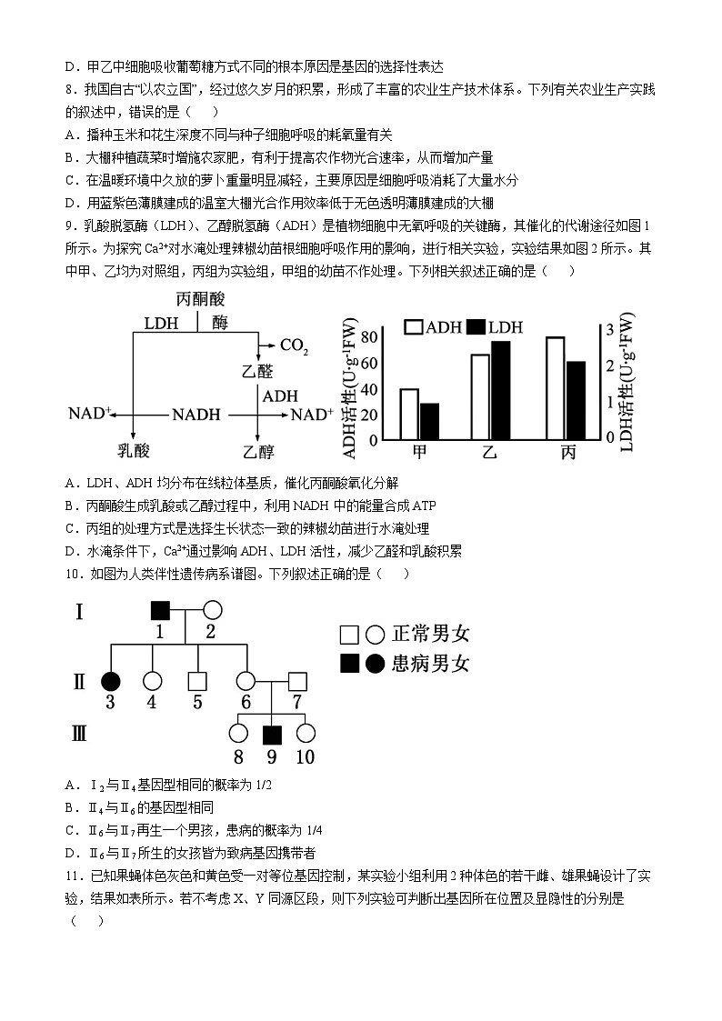 江苏省盐城市五校联考2024-2025学年高三上学期10月月考生物试题第3页