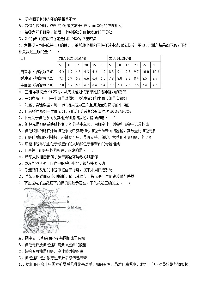 江苏省泰州市海陵区江苏省泰州中学2024-2025学年高二上学期10月月考生物试题第2页