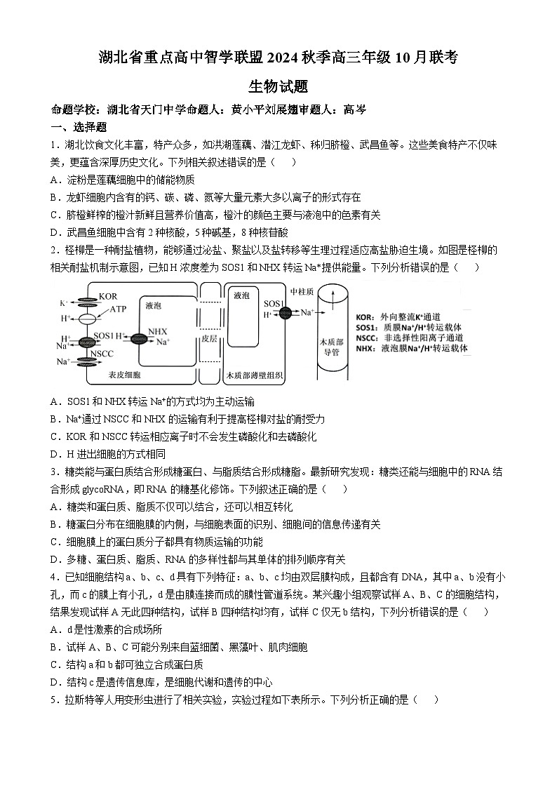 湖北省重点高中智学联盟2024—2025学年高三上学期10月联考生物试题第1页
