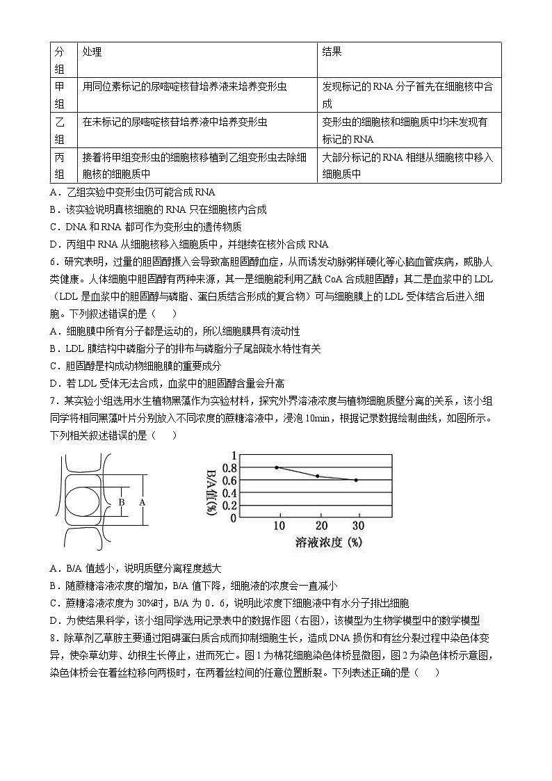 湖北省重点高中智学联盟2024—2025学年高三上学期10月联考生物试题第2页