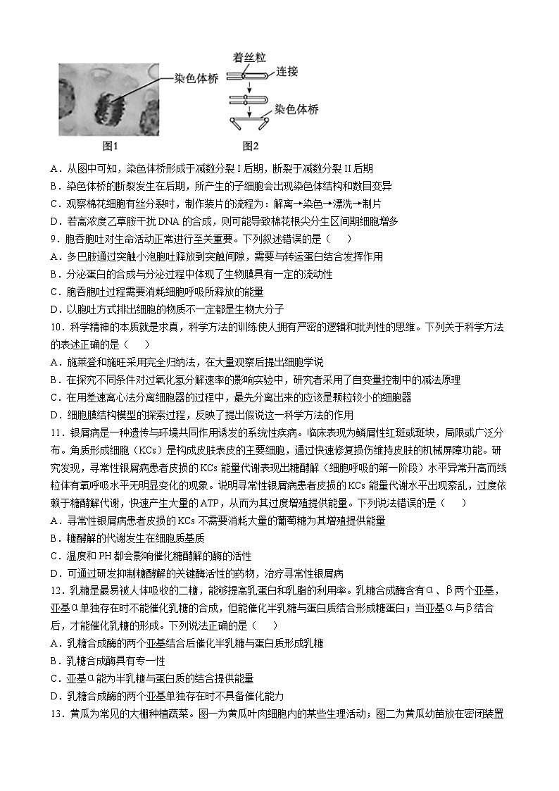 湖北省重点高中智学联盟2024—2025学年高三上学期10月联考生物试题第3页