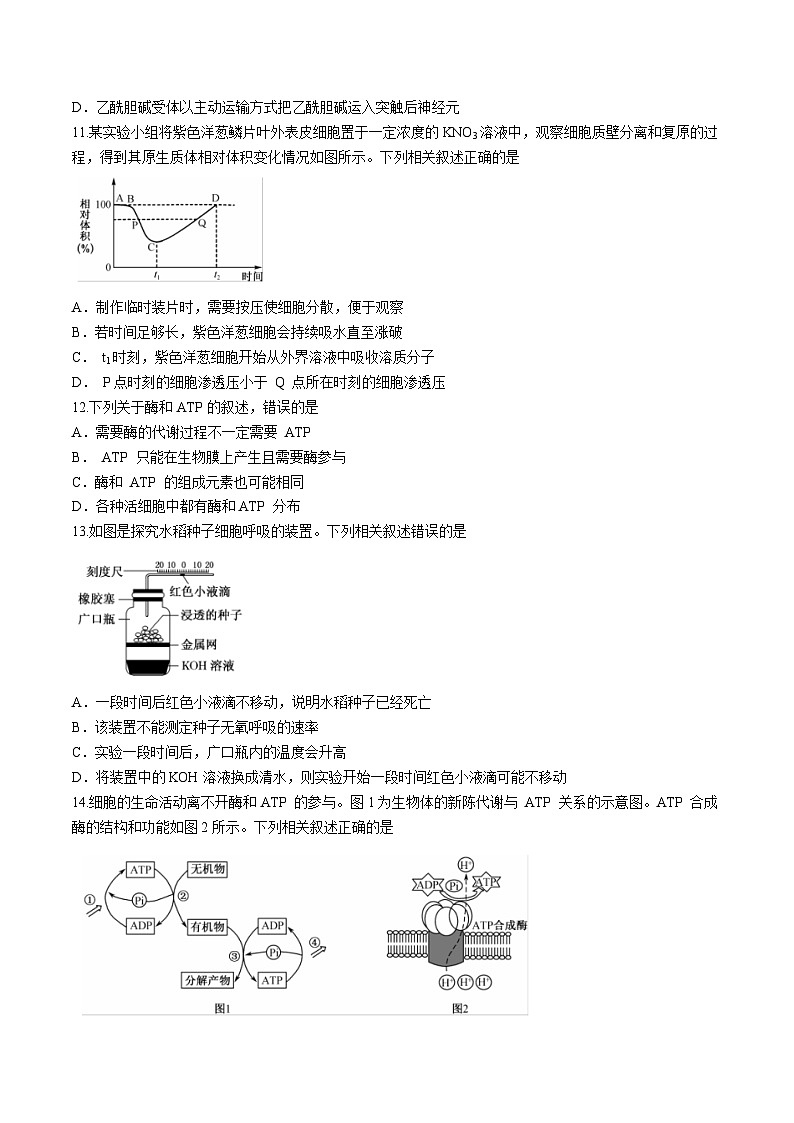 贵州省黔西南布依族苗族自治州兴义市顶效开发区顶兴学校2024-2025学年高三上学期第二次月考生物试题　(无答案)03