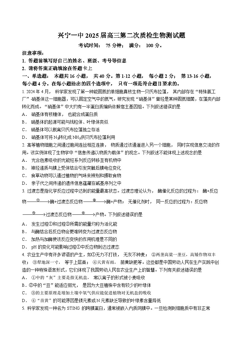 广东省梅州市兴宁市兴宁市第一中学2024-2025学年高三上学期10月月考生物试题第1页