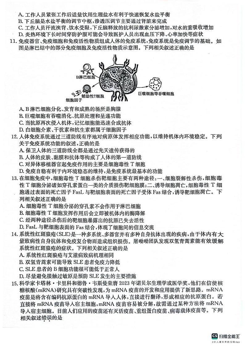 山东省菏泽市鄄城县第一中学2024-2025学年高二上学期10月月考生物试题03