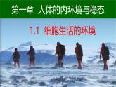 人教版（2019）高中生物选择性必修一 稳态与调节第一章第1节细胞生活的环境-课件